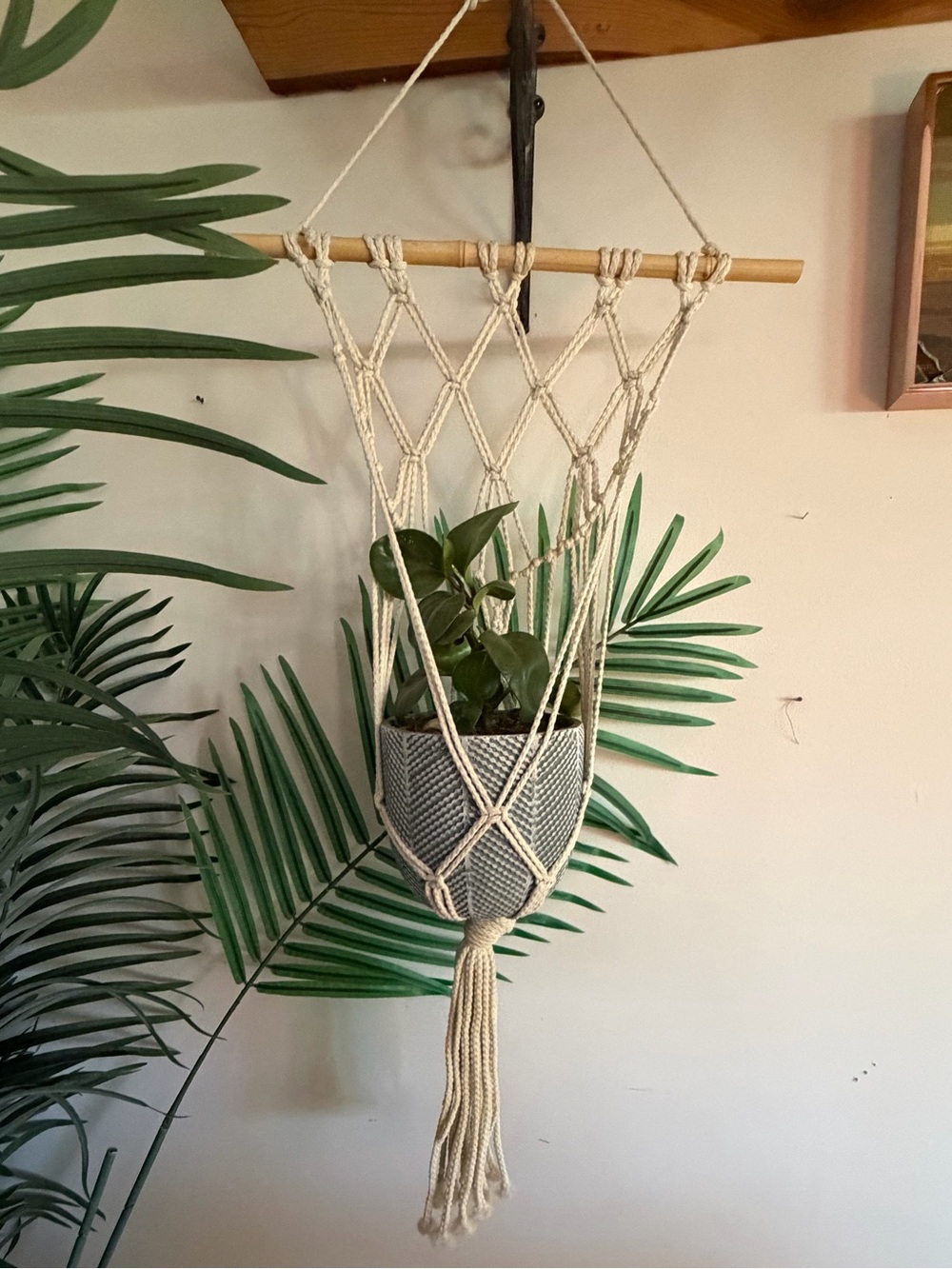 Macramรฉ Hanging Plant Holder in Natural Cream